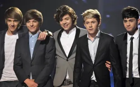 Arti dan Makna Lagu Steal My Girl - One Direction, Cinta yang Posesif Namun Menyenangkan